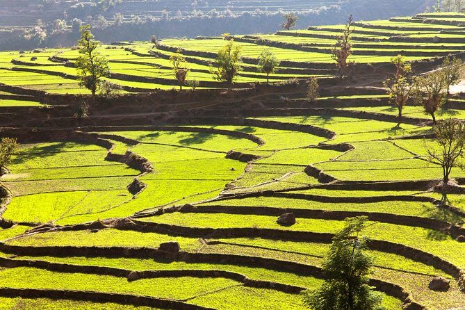 Kathmandu: Namobuddha Monastery Hiking Day Tour - An In-Depth Look at the Experience