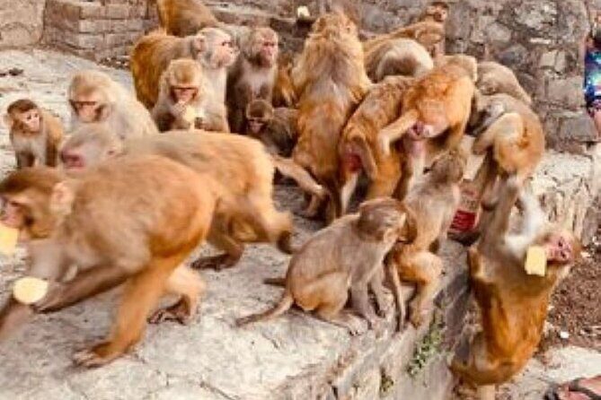 Kathmandu Private Sightseeing Tour | UNESCO World Heritage Sites - Final Thoughts
