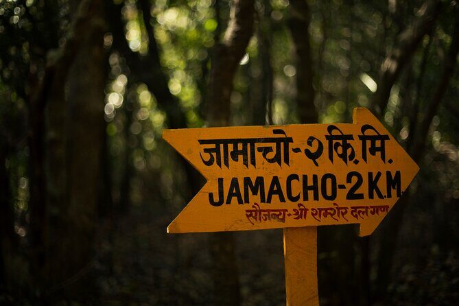 Kathmandu Shivapuri National Park and Nagarkot Hiking - 3 Days - Who Should Consider This Tour?