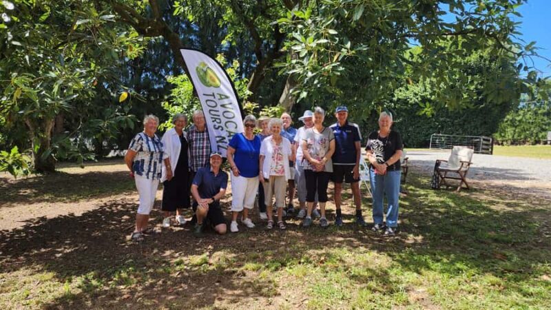 Katikati: Guided Avocado Adventures with Tasty Treats - Key Points