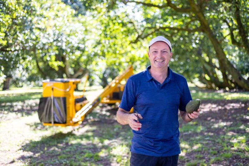 Katikati: Guided Avocado Adventures with Tasty Treats - Who Will Love This Tour?