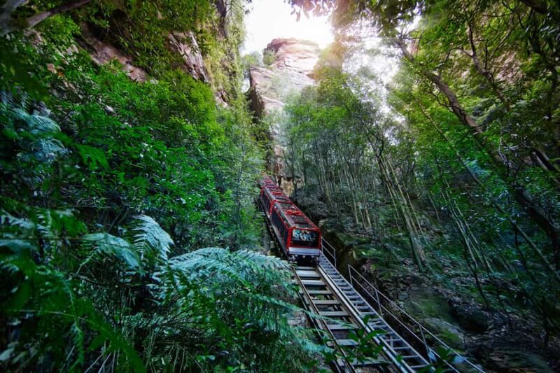 Katoomba: Scenic World 1-Day Unlimited Discovery Pass - Authentic Experiences Highlighted in Reviews