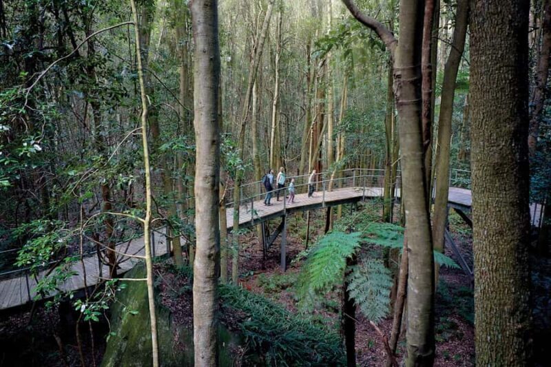 Katoomba: Scenic World 1-Day Unlimited Discovery Pass - The Sum Up