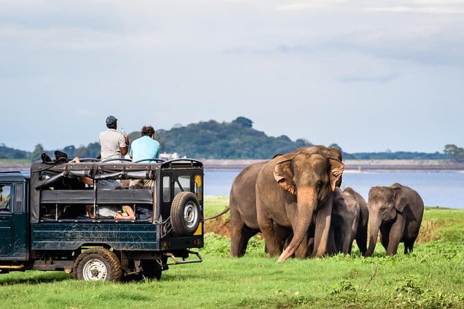 Katunayaka Airport to Kandy and Nuwaraeliya 2 Days - Who Will Love This Tour?