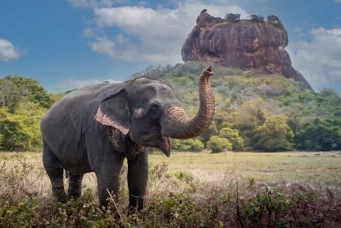 Katunayaka Airport to Kandy and Nuwaraeliya 2 Days - FAQ