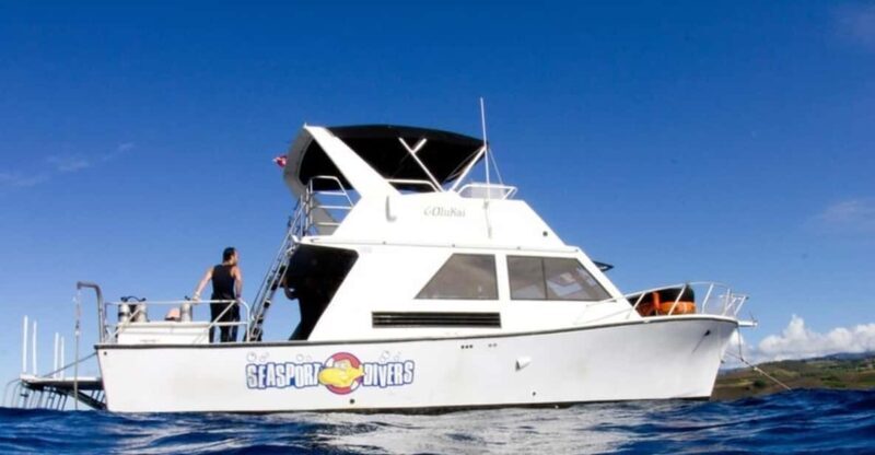 Kauai: 2 Tank Afternoon Dive - Authentic Experiences and Insights from Reviewers