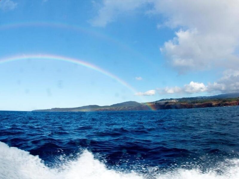 Kauai: 3-Tank Boat Dive for Certified Divers - An In-Depth Look at the Experience