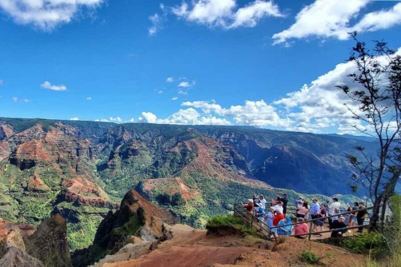 Kauai Day-Tour: Kalalau, Waimea, Poipu, Cruise or Airport PU - Exploring Kauai in Style and Comfort