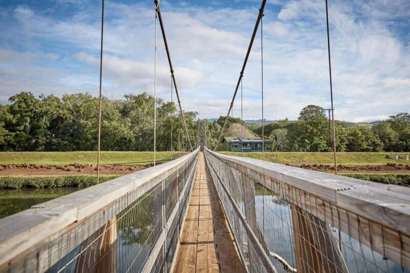 Kauai Day-Tour: Kalalau, Waimea, Poipu, Cruise or Airport PU - The Sum Up