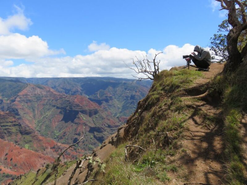 Kauai: Full-Day Kauai Adventure - Who Should Consider This Tour?