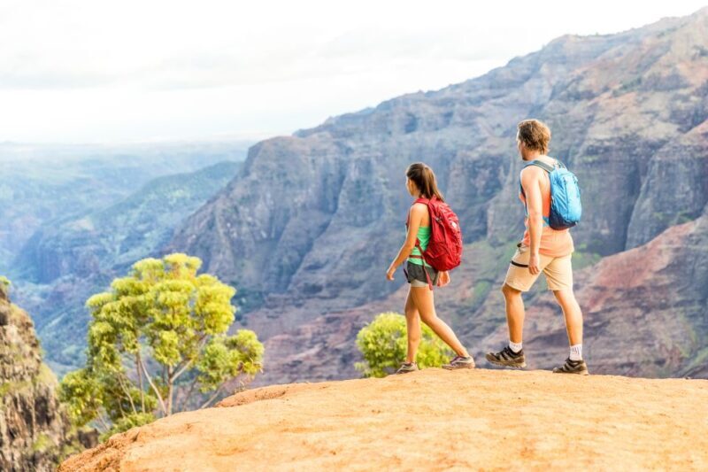 Kauai: Full-Day Waimea Canyon & Wailua River Tour - What to Expect from the Tour