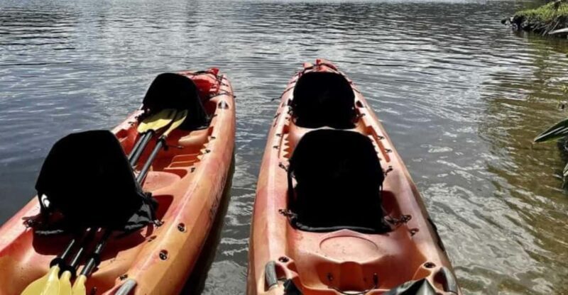 Kauai: Guided Kayak and Hike to Secret Falls - What to Expect on the Guided Kayak and Hike to Secret Falls