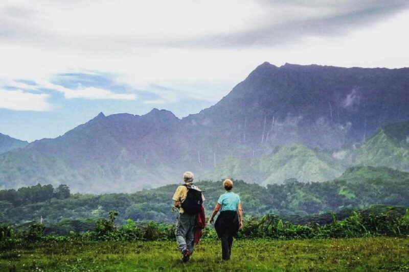 Kauai: Half-Day Kauai Adventure - Why This Tour Is a Must for Nature Enthusiasts