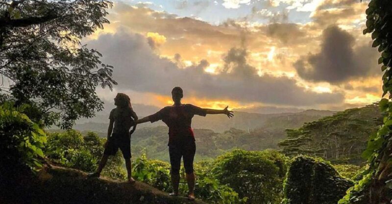 Kauai: Half-Day Kauai Adventure - Authentic Testimonials and Perspectives