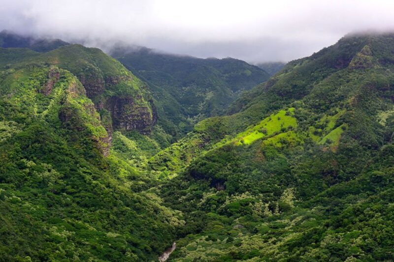 Kauai: Highlights & Movie Sites - The Experience: What Youll Encounter