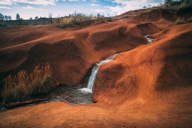 Kauai Island Private Guided Tour-Waimea Canyon from Poipu/Koloa - Discovering Kauai’s Natural Majesty