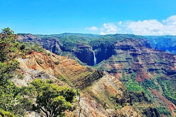 Kauai Island Private Guided Tour-Waimea Canyon from Poipu/Koloa - Coffee and Conversation at Kauai Coffee Company
