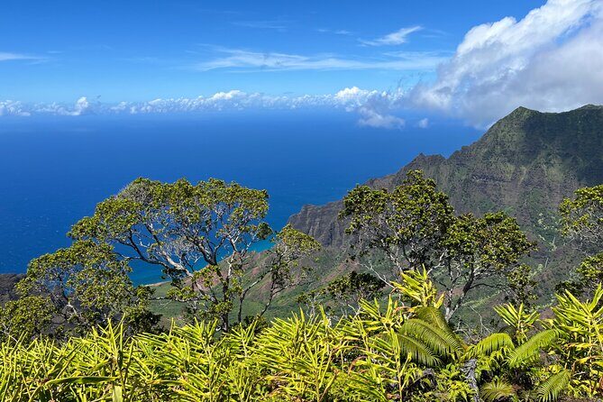 Kauai Island Private Guided Tour-Waimea Canyon from Poipu/Koloa - The Sum Up
