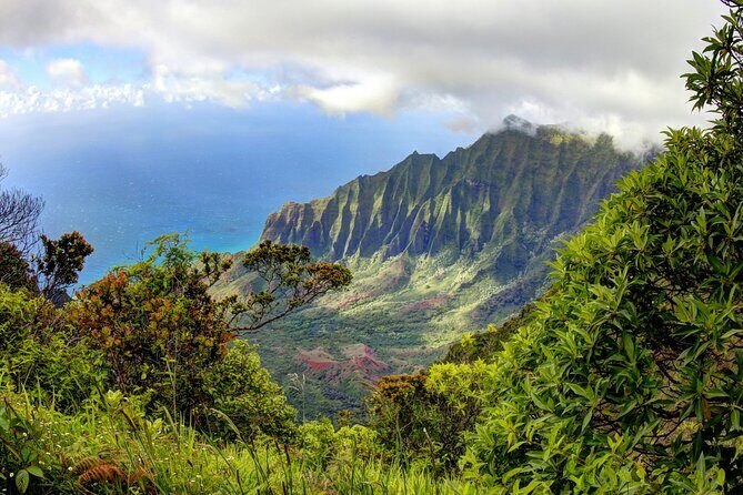 Kauai Island Private Guided Tour-Waimea Canyon from Princeville - The Appeal of a Private Tour