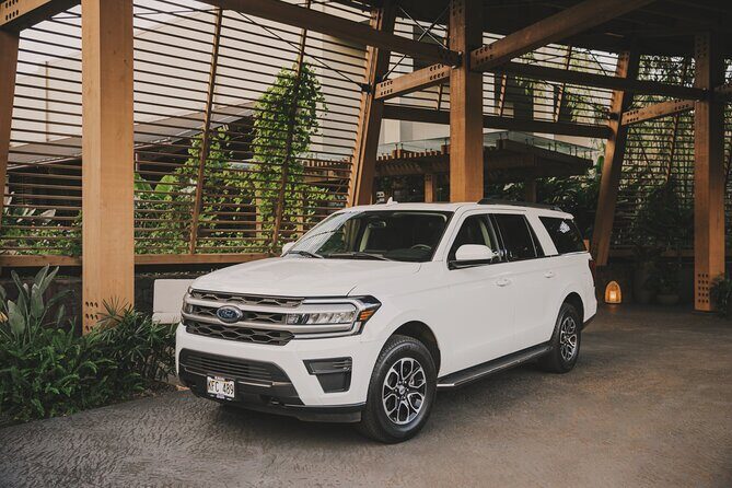 Kauai Island Private Guided Tour-Waimea Canyon from Princeville - Analyzing the Value