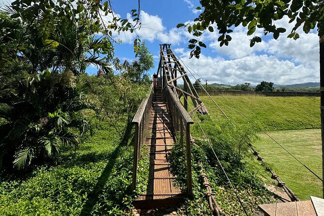 Kauai Island Tour : Journey to Waimea Canyon & More Highlights - An In-Depth Look at the Kauai Island Tour