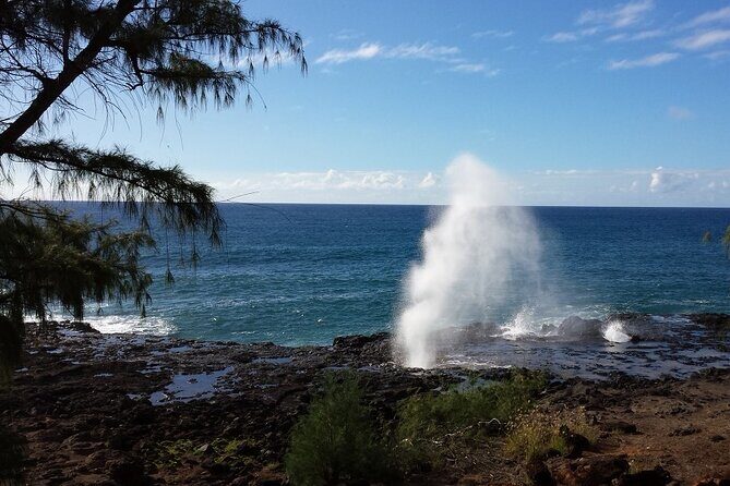 Kauai Island Tour : Journey to Waimea Canyon & More Highlights - Captain James Cook Statue and Historical Context