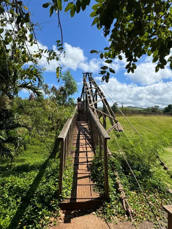 Kauai - Journey to Waimea Canyon, Spouting Horn & More - Authentic Experiences and Practical Details