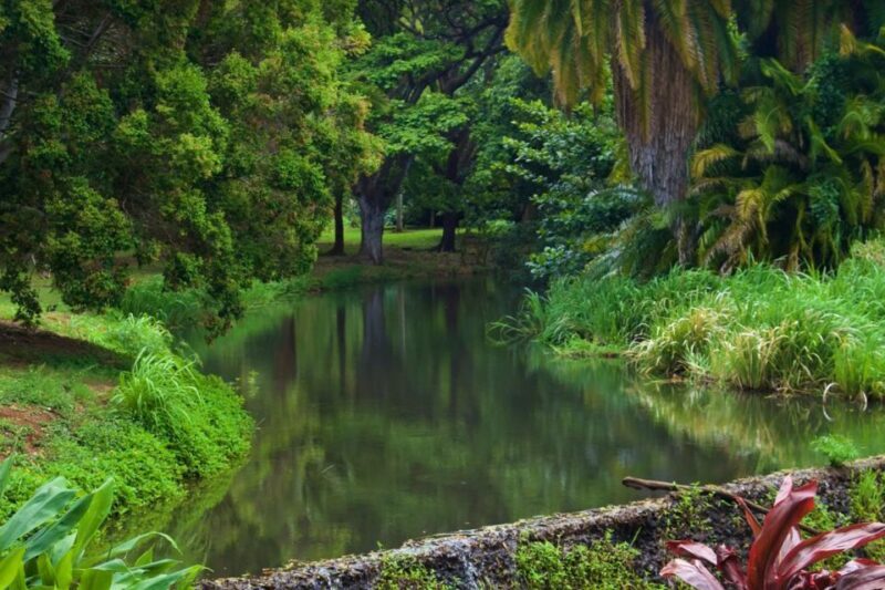 Kauai: McBryde Garden Self Guided Visit - Final Thoughts: A Natural Treasure with a Cultural Twist