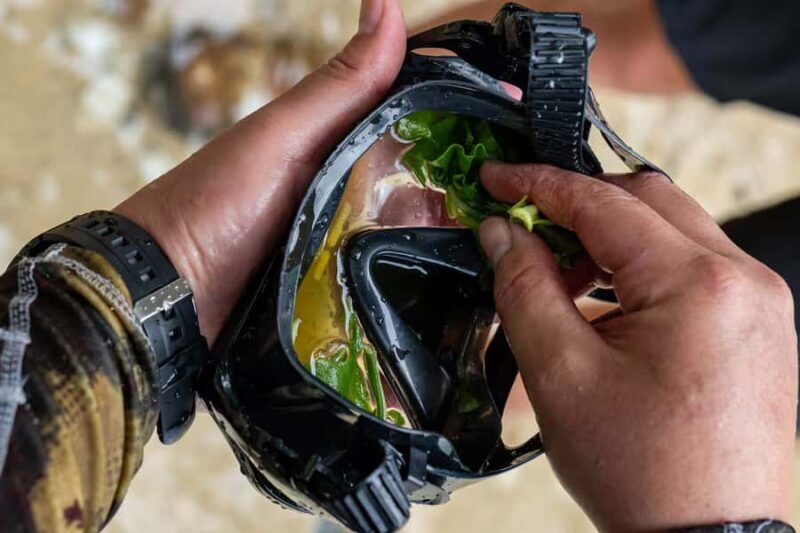 Kauai: Mlama Kai Snorkeling Adventure & Reef Cleanup - Key Points