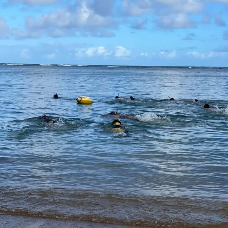 Kauai: Mlama Kai Snorkeling Adventure & Reef Cleanup - A Closer Look at the Experience