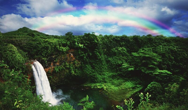 Kauai: Movie Locations Tour - Authentic Insights from Tour Reviewers