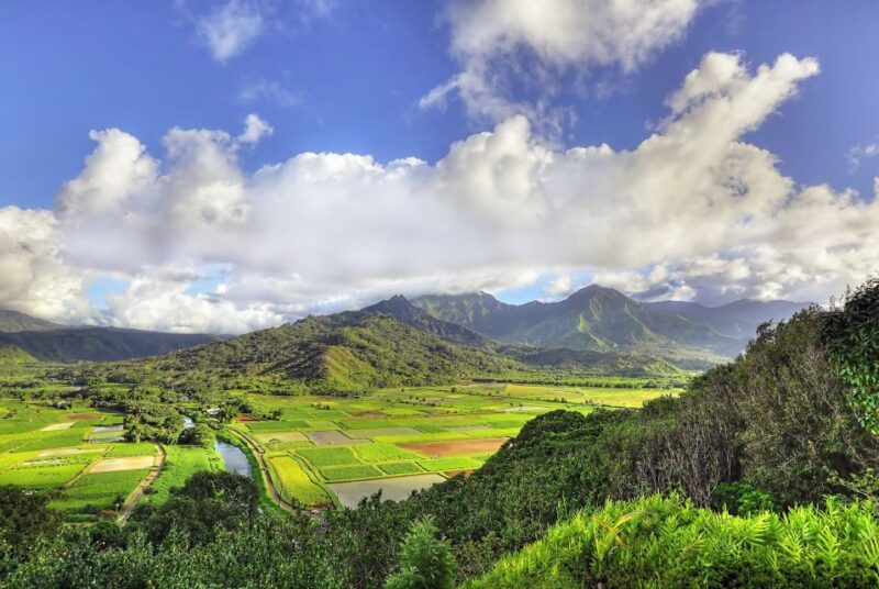 Kauai: Movie Locations Tour - Who Will Love This Tour?