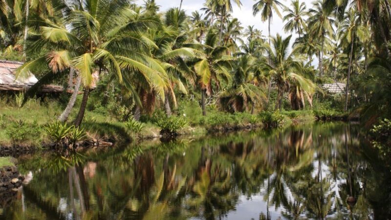 Kauai: Movie Locations Tour - FAQ