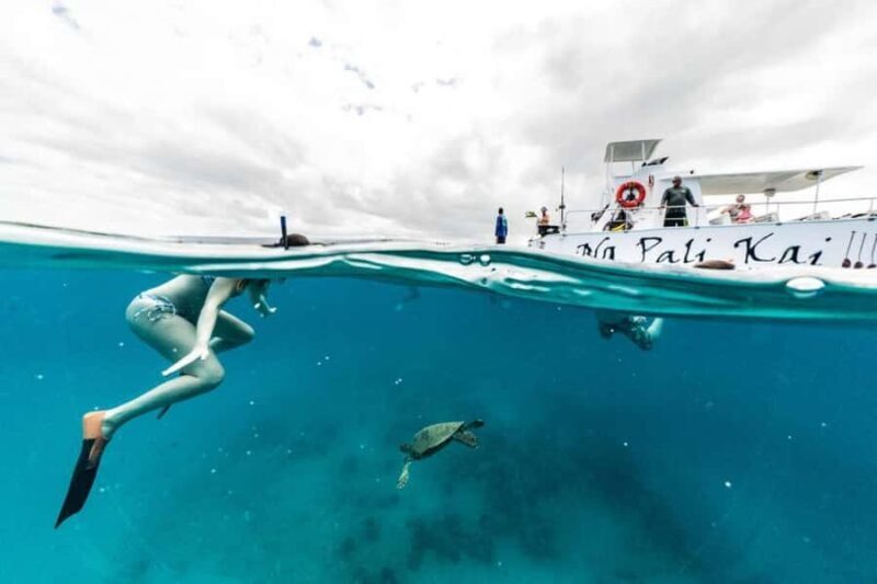 Kauai: Na Pali Coast Boat Tour with Cultural Captain & Crew - Considerations and Tips