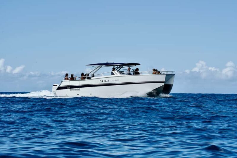 Kauai: Na Pali Coast Deluxe Power Catamaran Tour - Key Points