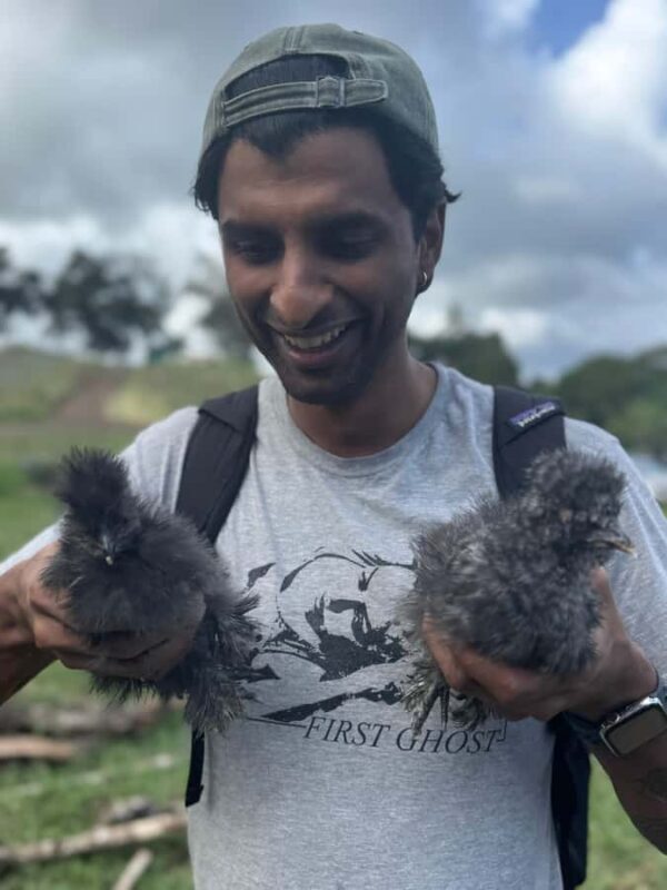 Kauai: Play with Baby Farm Animals & MicroDairy Immersion - Who Should Consider This Tour?