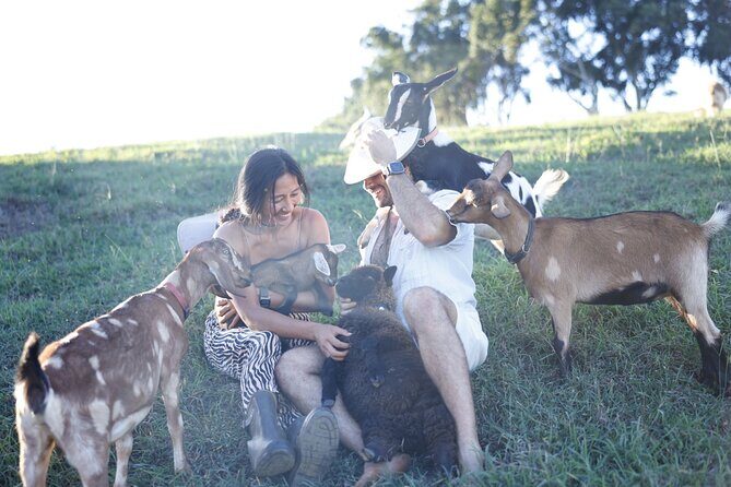 Kauai Private Baby Farm Animal Experience & Micro Dairy Immersion - The Sum Up
