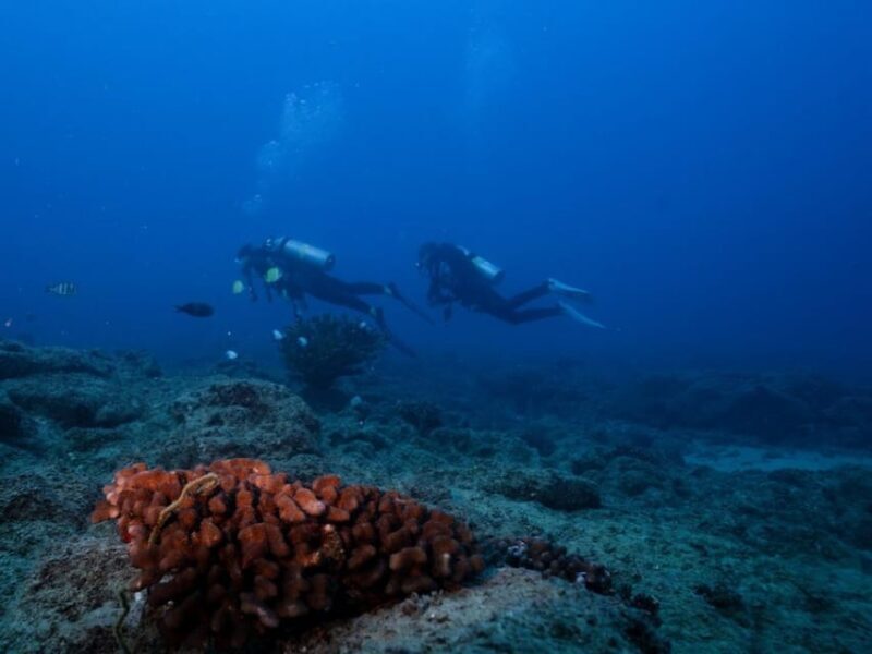 Kauai: Shore Diving at Koloa Landing, Poipu - Final Thoughts