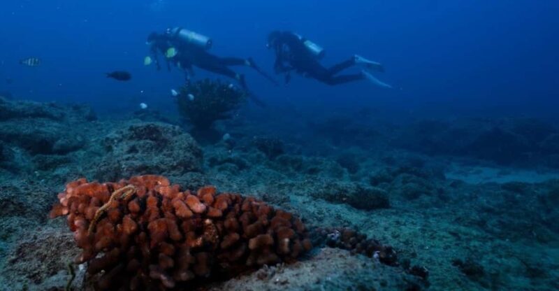 Kauai: Shore Diving at Koloa Landing, Poipu - FAQ