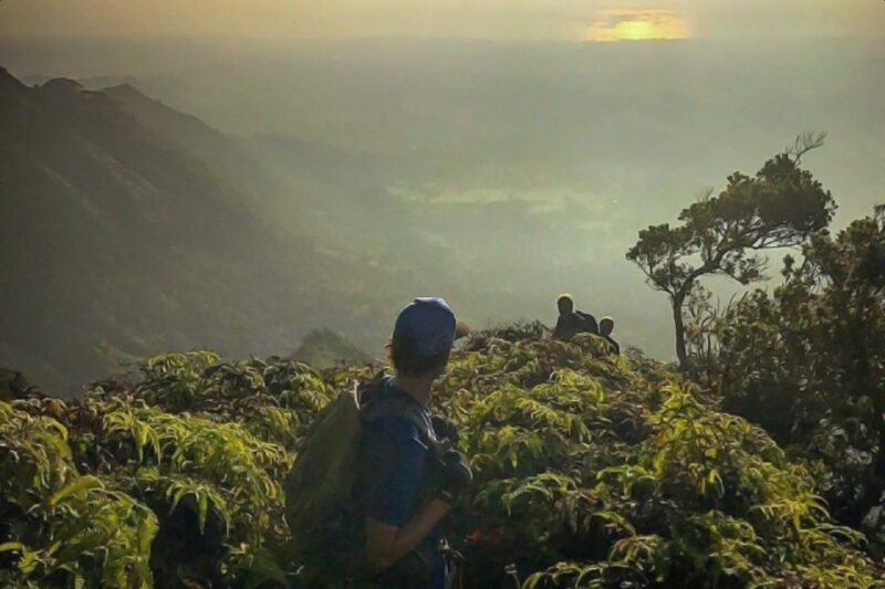 Kauai: Waimea Canyon & Kokee State Park Private Tour - An In-Depth Look at This Kauai Adventure