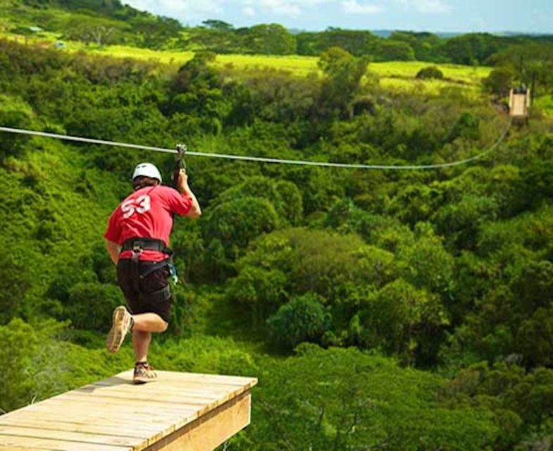 Kauai: Zipline Adventure - An In-Depth Look at the Kauai Zipline Experience