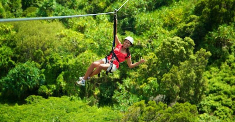 Kauai: Zipline Adventure - Typical Day & Duration