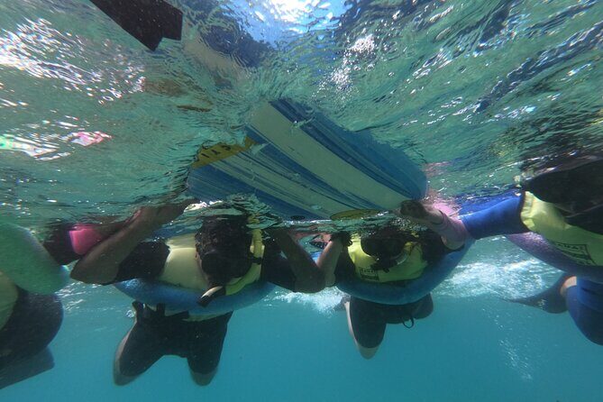 Kauai's Ultimate Guided Shore Snorkel (NO BOAT): North Anini - Final Thoughts: Who Will Love This Experience?