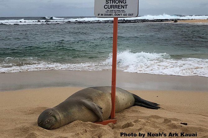 Kauai's Waimea Canyon and South Side Private Guided Tour - FAQ