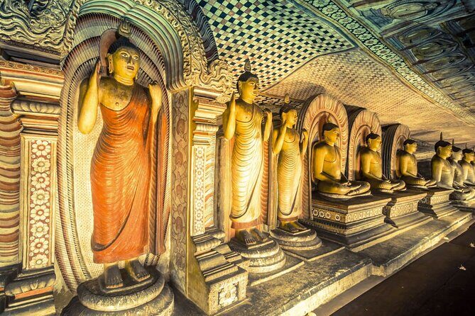 Kaudulla Jeep Safari & Dambulla Day Tour From Trincomalee - Who Should Consider This Tour?