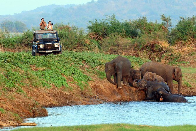 Kaudulla national park from Negombo inclusive of jeep safari - Final Thoughts