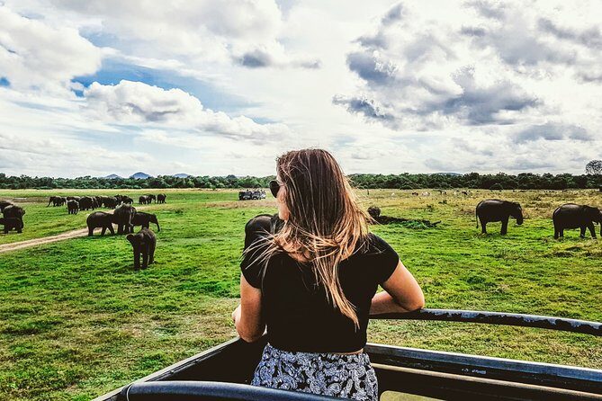 Kaudulla National Park Private Safari - Key Points