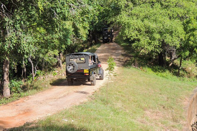 Kaudulla National Park Private Safari - The Value of the Experience