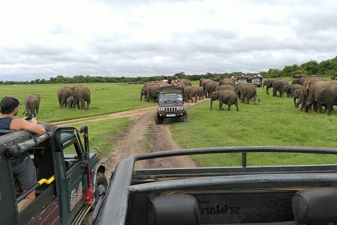 Kaudulla National Park Private Safari from Habarana - FAQ