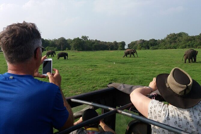 Kaudulla National Park - Private Safari from Sigiriya - Who Should Consider This Safari?